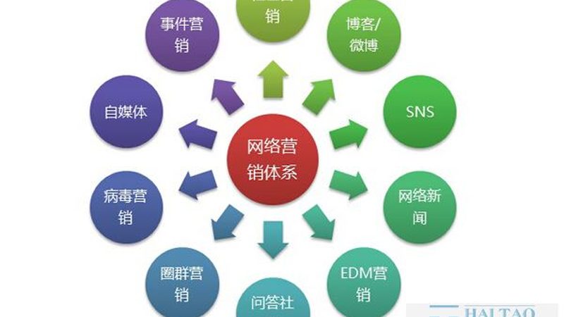 网站推广入门：基础知识与实操要点